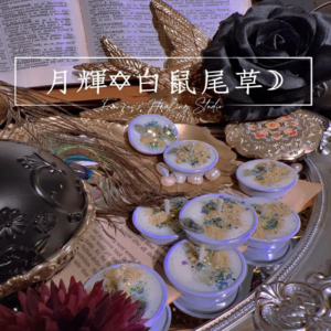 ♦白鼠尾草淨化蠟燭 極致超淨化♦