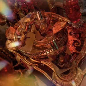 ✦☾⋆˚⊹⟡ 大地之根・魔法噴霧 ⟡⊹˚⋆☽✦ 魔法世界的財富翹楚｜根系魔法噴霧