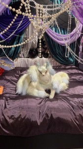 孤品清倉優惠*₊ .•＊限定絕版＊